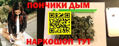 крисы Гагарин