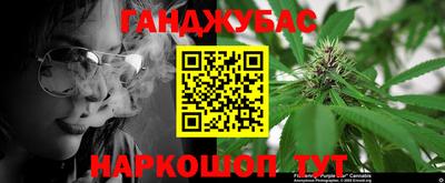 не бодяженный Гай