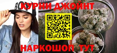 крисы Гагарин