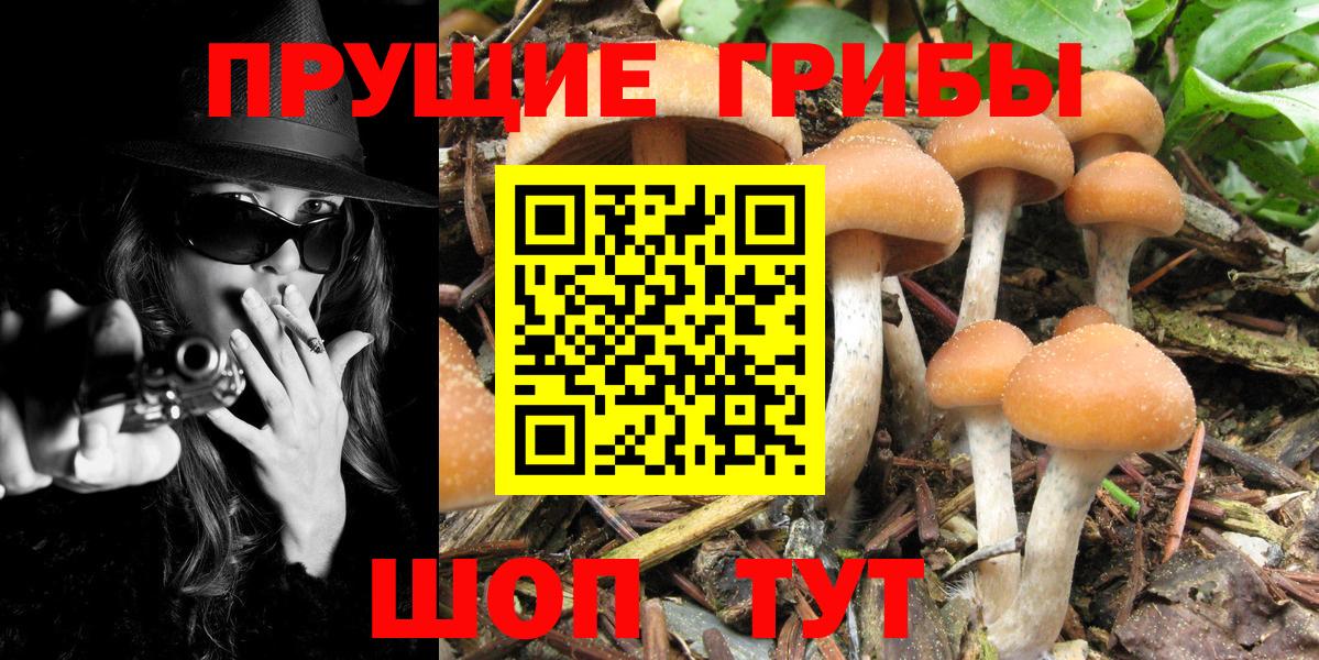 COCAIN  Бошки Шишки  Вейп ТГК  Вход с VPN  LSD-25  Димитровград  ГАШИШ  Меф МЯУ МЯУ кристаллы 