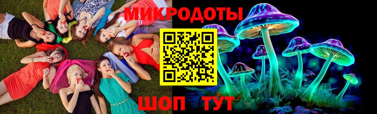 Галлюциногенные грибы Psilocybe Димитровград